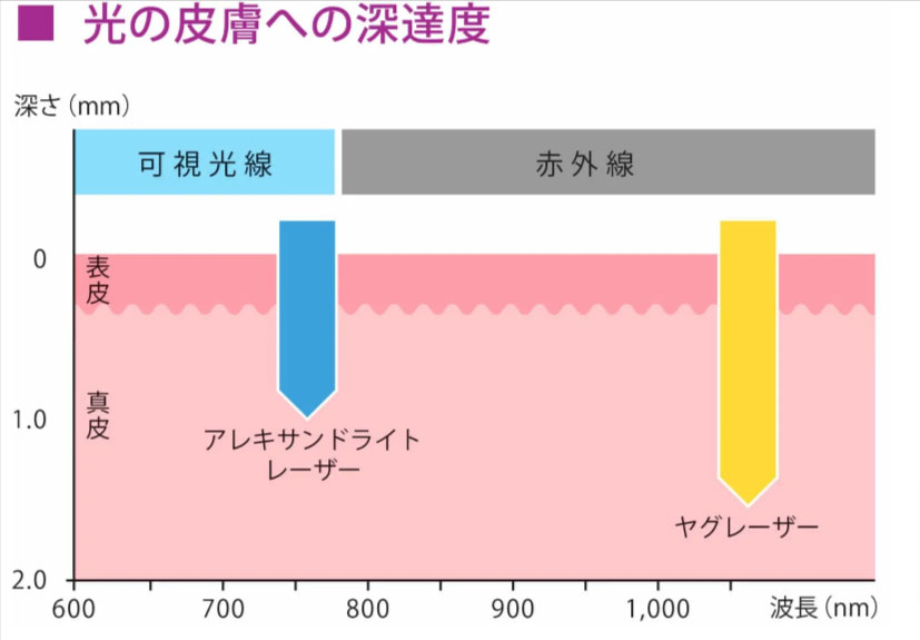 光の皮膚への深達度